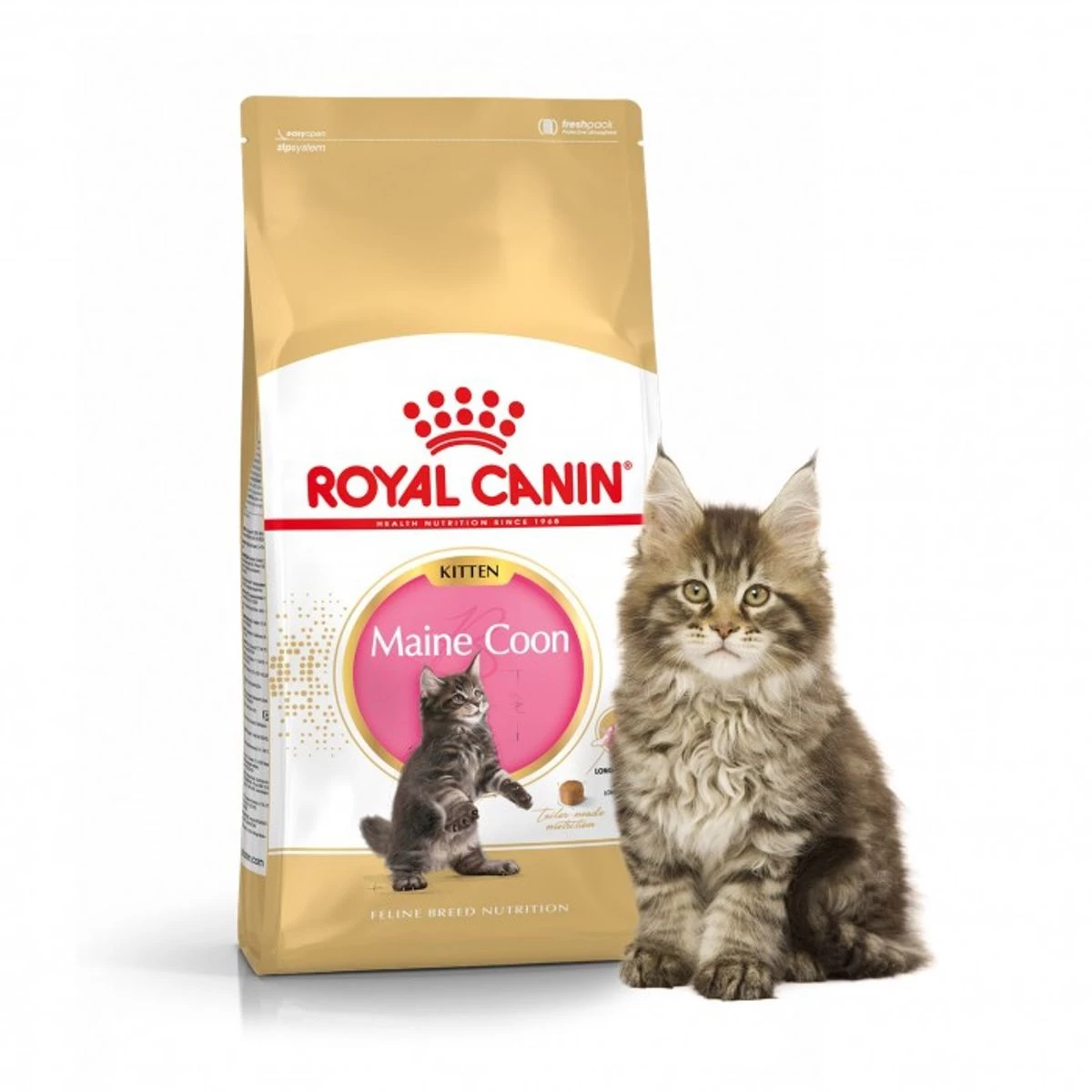 Feline Nutrition Kitten Maine Coon - Royal Canin 6 Feline Nutrition Kitten Maine Coon - Royal Canin – Image 4