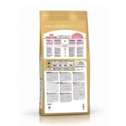 Feline Nutrition Kitten Persian 32 - Royal Canin -Fournitures Pour Animaux feline nutrition kitten persian 32 royal canin 1
