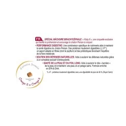 Feline Nutrition Kitten Persian 32 - Royal Canin -Fournitures Pour Animaux feline nutrition kitten persian 32 royal canin 4