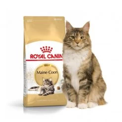 Feline Nutrition Maine Coon - Royal Canin 9 Feline Nutrition Maine Coon - Royal Canin -Fournitures Pour Animaux feline nutrition maine coon royal canin 1