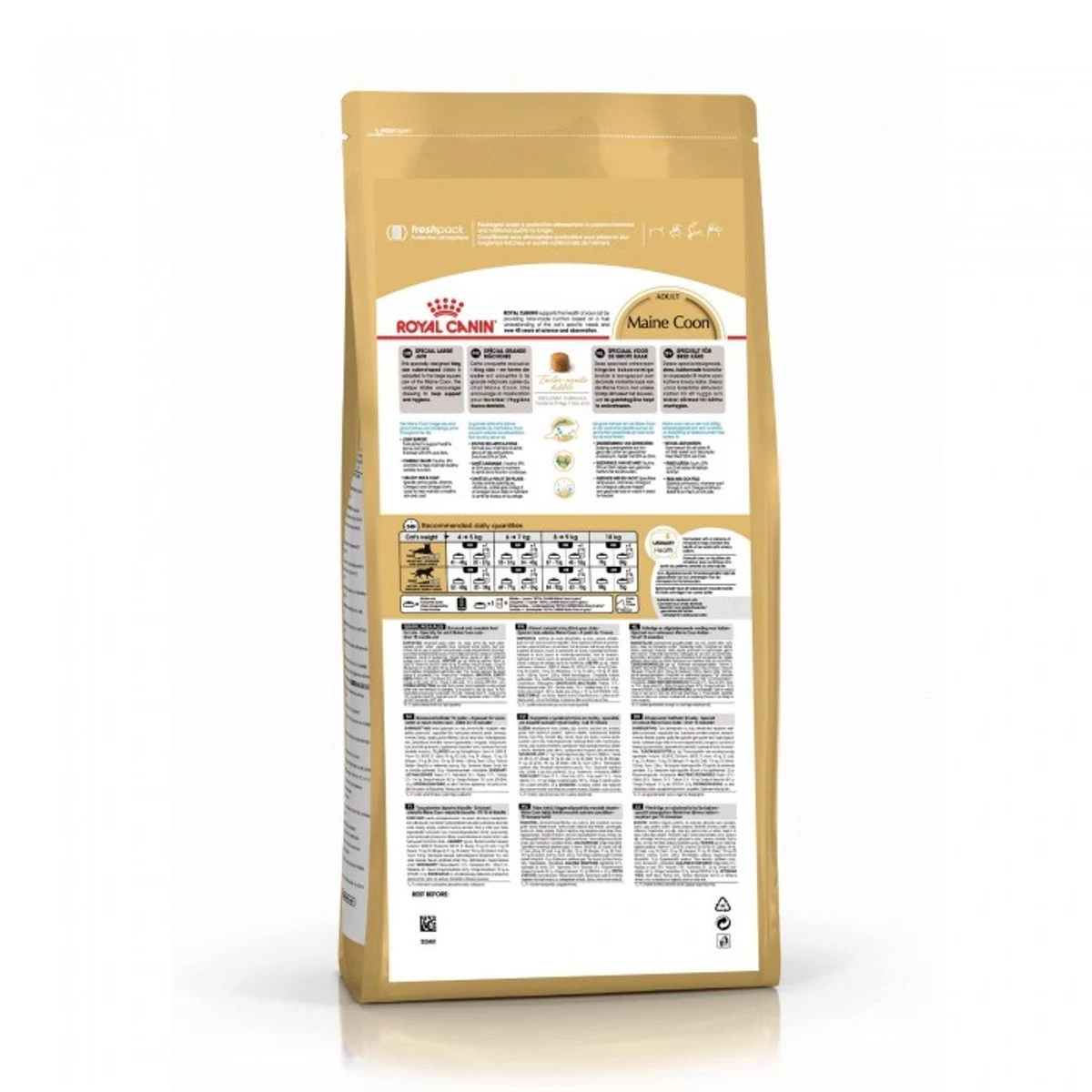 Feline Nutrition Maine Coon - Royal Canin 5 Feline Nutrition Maine Coon - Royal Canin – Image 3