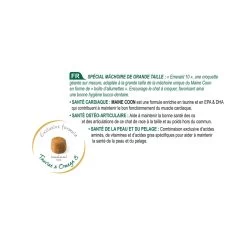 Feline Nutrition Maine Coon - Royal Canin 12 Feline Nutrition Maine Coon - Royal Canin -Fournitures Pour Animaux feline nutrition maine coon royal canin 4