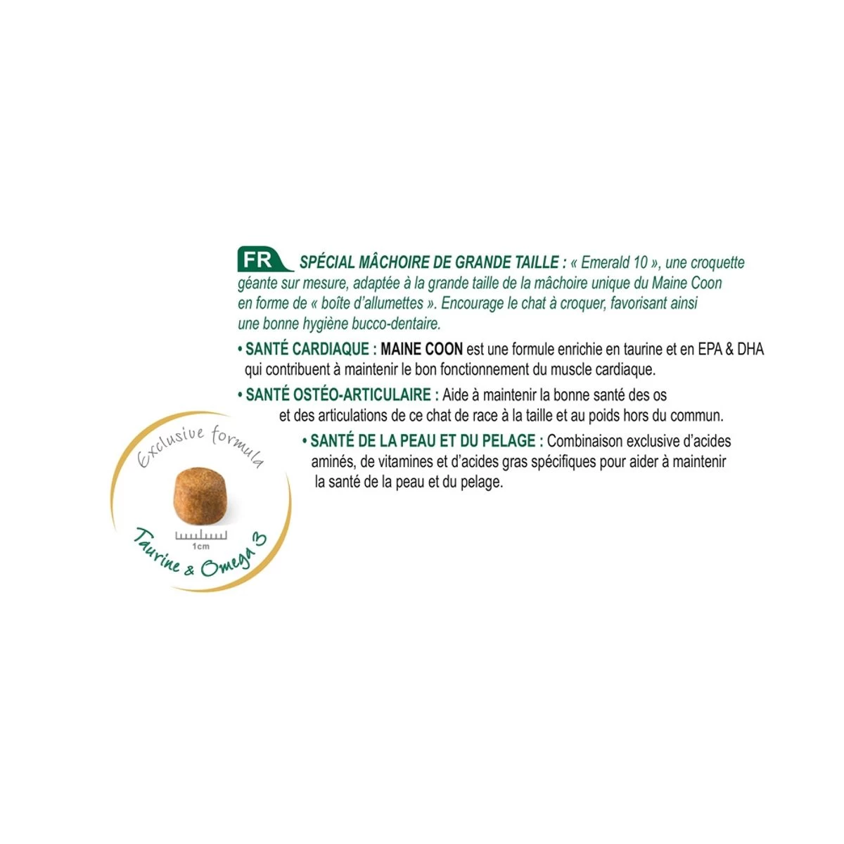 Feline Nutrition Maine Coon - Royal Canin 7 Feline Nutrition Maine Coon - Royal Canin – Image 5