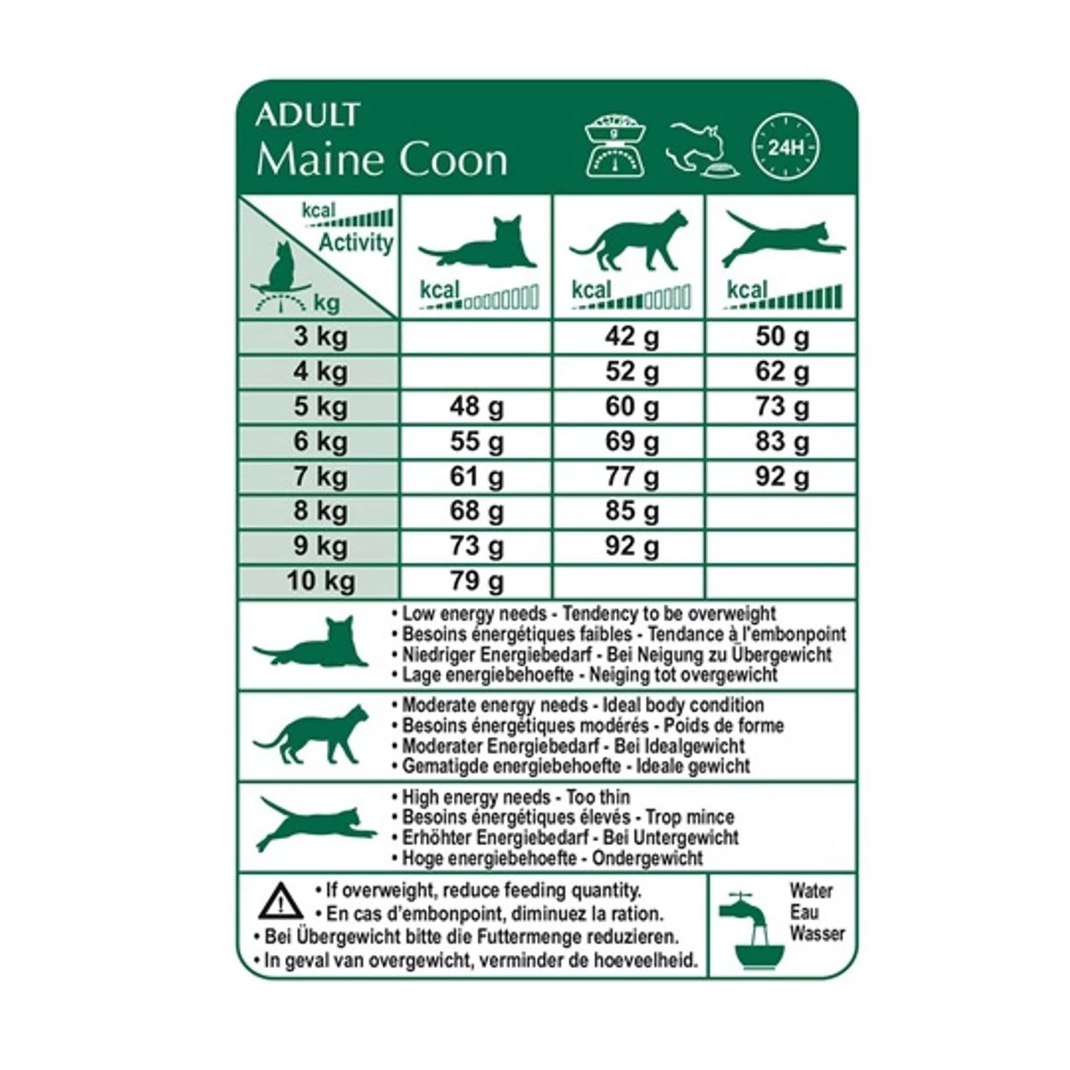 Feline Nutrition Maine Coon - Royal Canin 8 Feline Nutrition Maine Coon - Royal Canin – Image 6