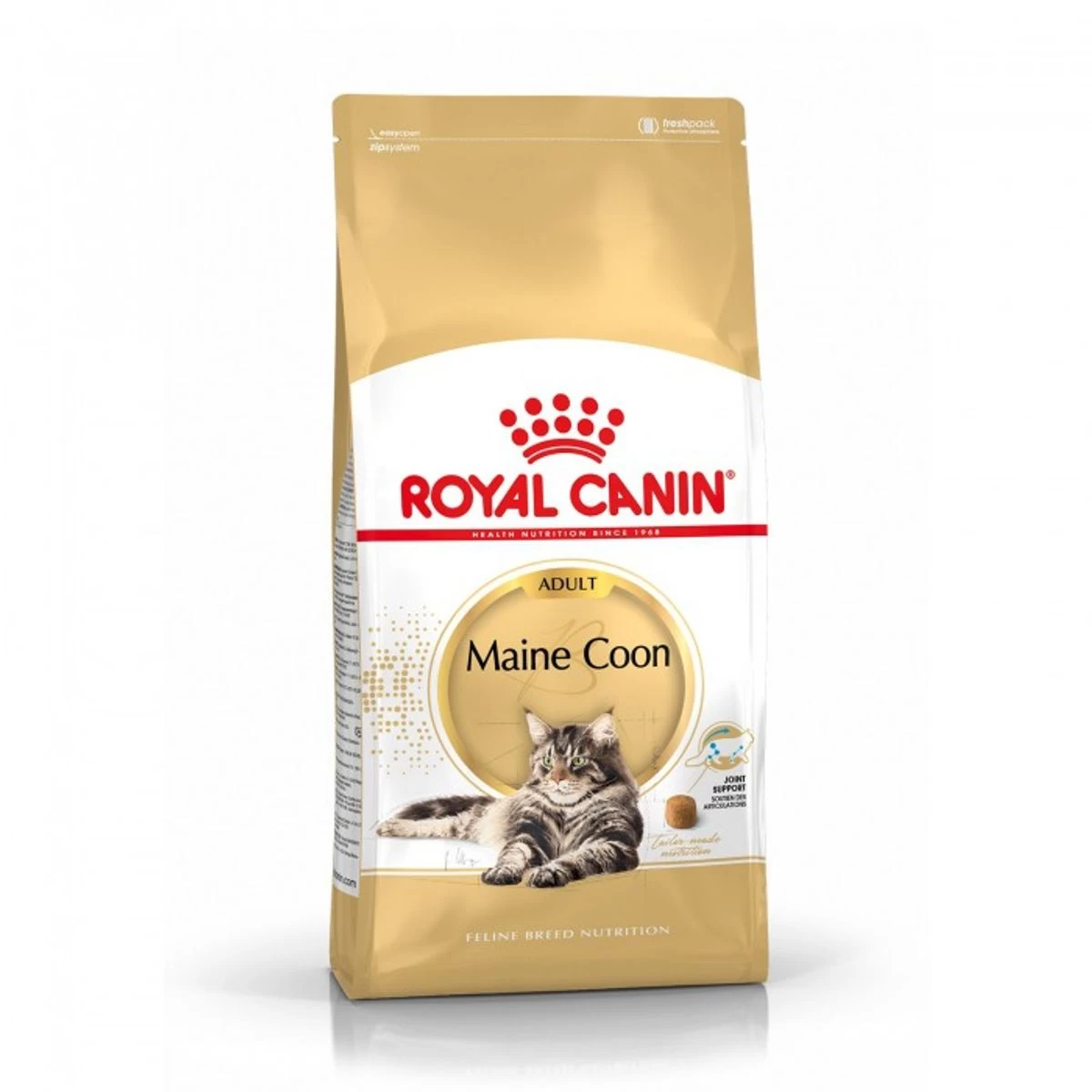 Feline Nutrition Maine Coon - Royal Canin 3 Feline Nutrition Maine Coon - Royal Canin