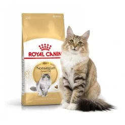 Feline Nutrition Norvegien - Royal Canin -Fournitures Pour Animaux feline nutrition norvegien royal canin 2
