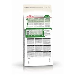 Feline Nutrition Outdoor - Royal Canin -Fournitures Pour Animaux feline nutrition outdoor royal canin 1