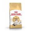 Feline Nutrition Ragdoll - Royal Canin -Fournitures Pour Animaux feline nutrition ragdoll royal canin