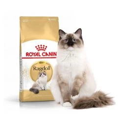 Feline Nutrition Ragdoll - Royal Canin -Fournitures Pour Animaux feline nutrition ragdoll royal canin 2