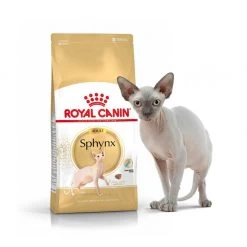 Feline Nutrition Sphynx - Royal Canin (10 Kg) -Fournitures Pour Animaux feline nutrition sphynx royal canin 10 kg 4