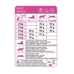 Feline Nutrition Sphynx - Royal Canin (10 Kg) -Fournitures Pour Animaux feline nutrition sphynx royal canin 10 kg 5