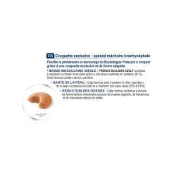 French Bulldog Adult - Royal Canin 10 French Bulldog Adult - Royal Canin -Fournitures Pour Animaux french bulldog adult royal canin 3