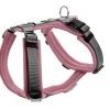 Harnais Maldon Rose - Hunter -Fournitures Pour Animaux harnais maldon rose hunter