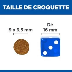 Healthy Digestive Biome Pour Chat - Hill's Vetessentials -Fournitures Pour Animaux healthy digestive biome pour chat hill s vetessentials 2