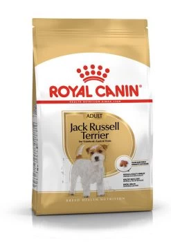 Jack Russell Terrier Adult - Royal Canin