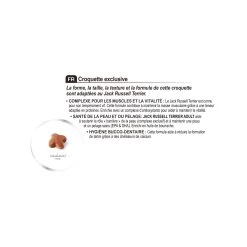 Jack Russell Terrier Adult - Royal Canin 11 Jack Russell Terrier Adult - Royal Canin -Fournitures Pour Animaux jack russell terrier adult royal canin 4