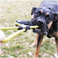 Jouet Jaxx Infinity - Kong 5 Jouet Jaxx Infinity - Kong -Fournitures Pour Animaux jouet jaxx infinity kong 1