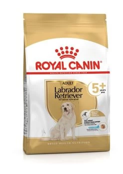 Labrador Retriever 5 + - Royal Canin