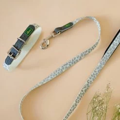 Laisse Fluorescente Motif Léopard - Convenience Reflect Glow Hunter -Fournitures Pour Animaux laisse fluorescente motif leopard convenience reflect glow hunter 3