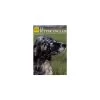 Le Setter Anglais Guide Photo - De Vecchi -Fournitures Pour Animaux le setter anglais guide photo de vecchi