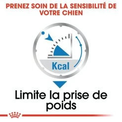 Light Weight Care Mousse 12 X 85 G - Royal Canin -Fournitures Pour Animaux light weight care mousse 12 x 85 g royal canin 4