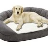 Lit Orthopédique Pour Chien à Mémoire De Forme - Flamingo Pet Products -Fournitures Pour Animaux lit orthopedique pour chien a memoire de forme flamingo pet products