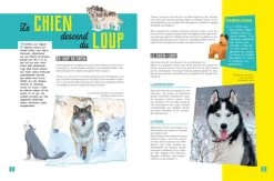 Ma Petite Encyclopédie Du Chien - Artemis Edition -Fournitures Pour Animaux ma petite encyclopedie du chien artemis edition 1