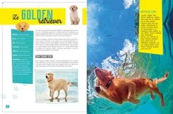 Ma Petite Encyclopédie Du Chien - Artemis Edition -Fournitures Pour Animaux ma petite encyclopedie du chien artemis edition 2