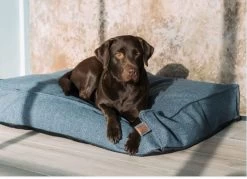 Matelas ECO Stargaze Midnight Blue - Fantail -Fournitures Pour Animaux matelas eco stargaze midnight blue fantail 1