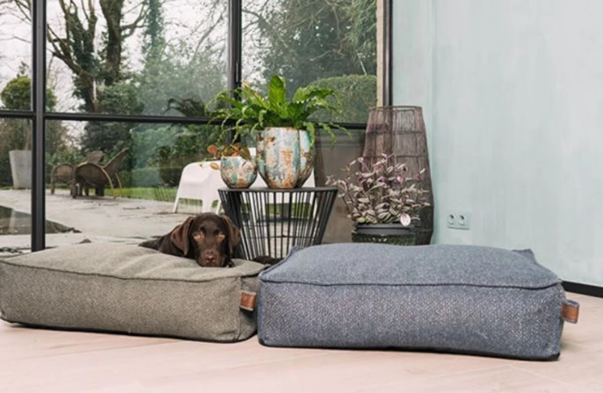 Matelas ECO Stargaze Seaweed Vert - Fantail 4 Matelas ECO Stargaze Seaweed Vert - Fantail – Image 2