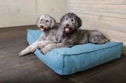 Matelas ORIGIN Stargaze Cosmic Blue - Fantail