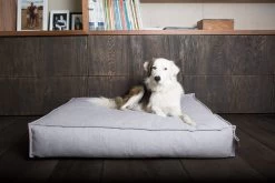 Matelas ORIGIN Stargaze Silver Spoon - Fantail -Fournitures Pour Animaux matelas origin stargaze silver spoon fantail 2