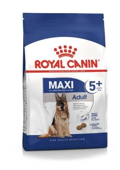 Maxi Adult 5 + - Royal Canin