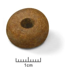 Maxi Ageing 8+ - Royal Canin -Fournitures Pour Animaux maxi ageing 8 royal canin 1