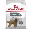 Maxi Dental Care - Royal Canin