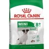 Mini Adult +8 - Royal Canin -Fournitures Pour Animaux mini adult 8 royal canin