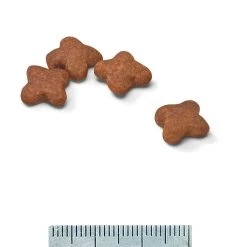 Mini Adult +8 - Royal Canin -Fournitures Pour Animaux mini adult 8 royal canin 2