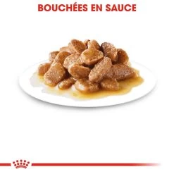 Mini Adult "en Sauce" 12 X 85 G - Royal Canin -Fournitures Pour Animaux mini adult en sauce 12 x 85 g royal canin 2