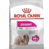 Mini Exigent - Royal Canin -Fournitures Pour Animaux mini exigent royal canin