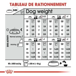 Mini Sterilised - Royal Canin -Fournitures Pour Animaux mini sterilised royal canin 4