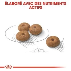 Mini Sterilised - Royal Canin -Fournitures Pour Animaux mini sterilised royal canin 6