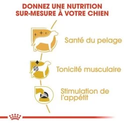 Mousse Pour Caniche - Adult Royal Canin 12 X 85g -Fournitures Pour Animaux mousse pour caniche adult royal canin 12 x 85g 3