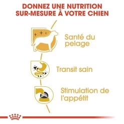 Mousse Pour Chihuahua - Adult Royal Canin 12 X 85g -Fournitures Pour Animaux mousse pour chihuahua adult royal canin 12 x 85g 3