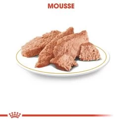 Mousse Pour Yorkshire Terrier - Adult Royal Canin 12 X 85g -Fournitures Pour Animaux mousse pour yorkshire terrier adult royal canin 12 x 85g 2
