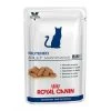 Neutered Adult Maintenance - Royal Canin Veterinary Care Nutrition (12 X 85 G) 1 Neutered Adult Maintenance - Royal Canin Veterinary Care Nutrition (12 X 85 G) -Fournitures Pour Animaux neutered adult maintenance royal canin veterinary care nutrition 12 x 85 g