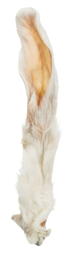 Oreilles De Lapin - Trixie -Fournitures Pour Animaux oreilles de lapin trixie 1