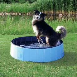 Piscine Pour Chien - Trixie -Fournitures Pour Animaux piscine pour chien trixie 1