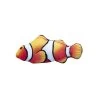 Poisson Clown Dansant - Bubimex 2 Poisson Clown Dansant - Bubimex -Fournitures Pour Animaux poisson clown dansant bubimex