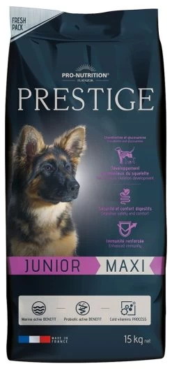 Prestige Junior Maxi (nouvelle Formule) - Flatazor -Fournitures Pour Animaux prestige junior maxi nouvelle formule flatazor 1