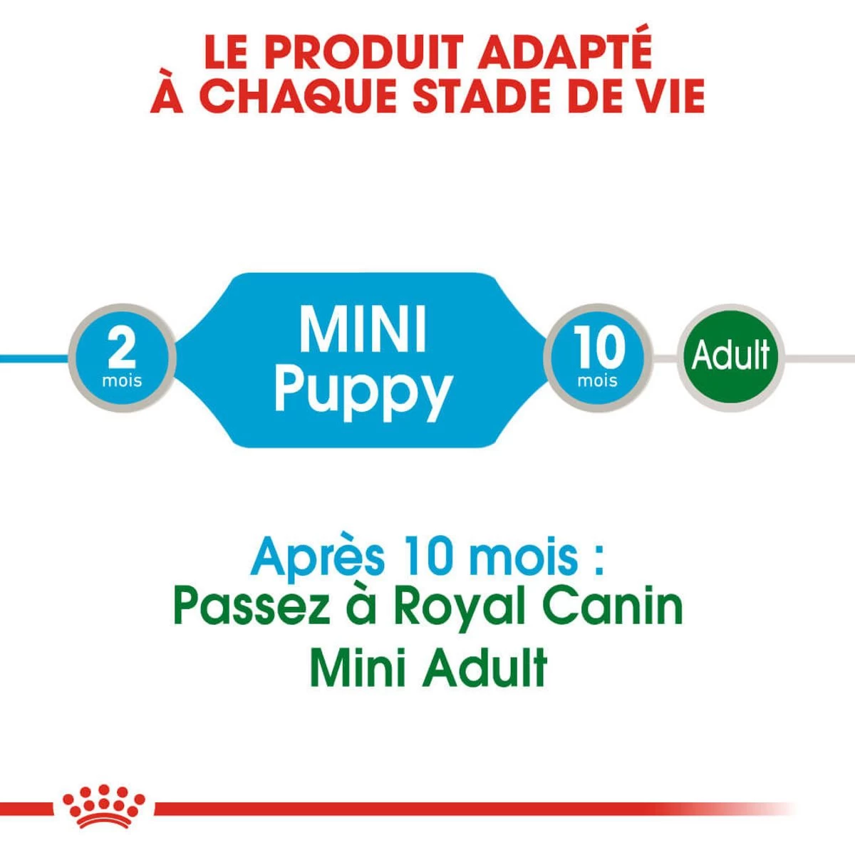 Puppy Mini "en Sauce" 12 X 85 G - Royal Canin 6 Puppy Mini "en Sauce" 12 X 85 G - Royal Canin – Image 4